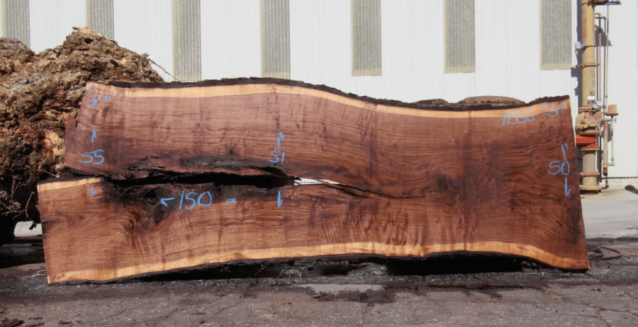 European walnut slab KRN-0001