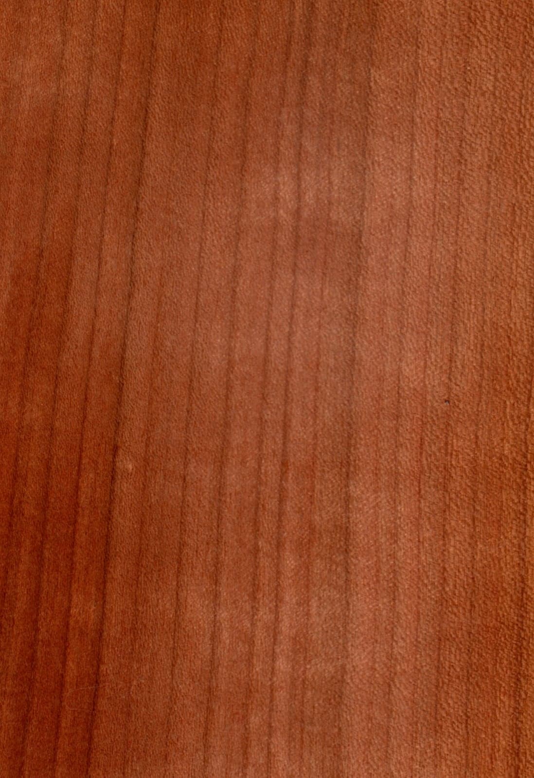 Νερά European Cherry