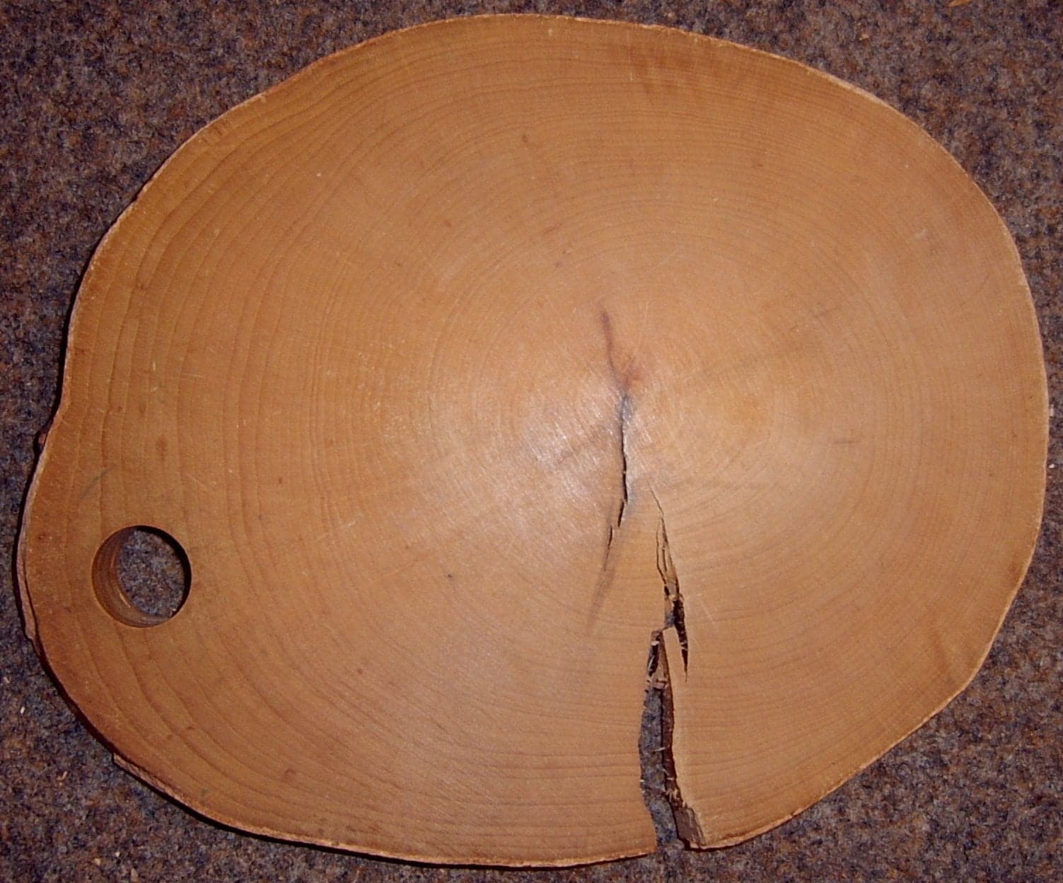 Νερά European Beech