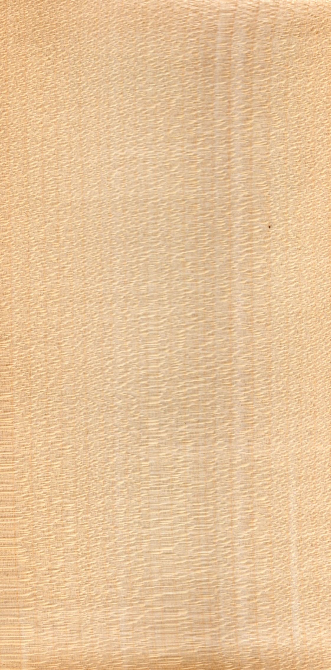 Νερά Sycamore Maple