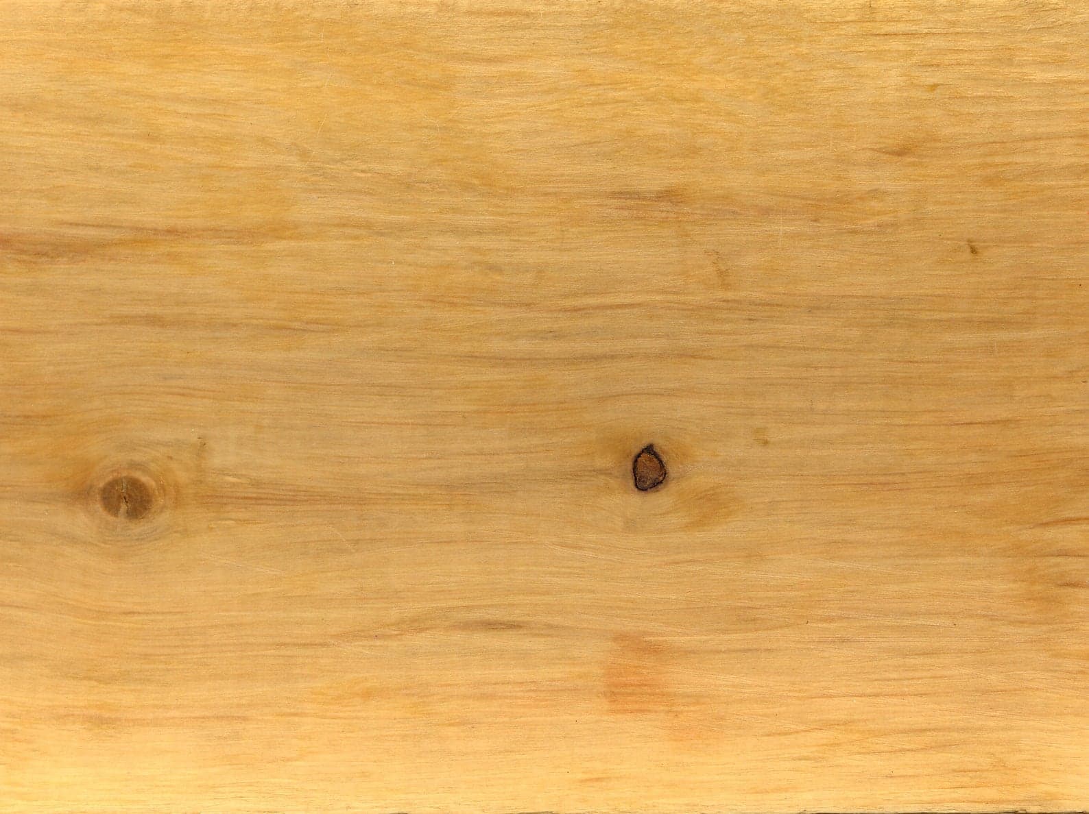 Νερά Hornbeam