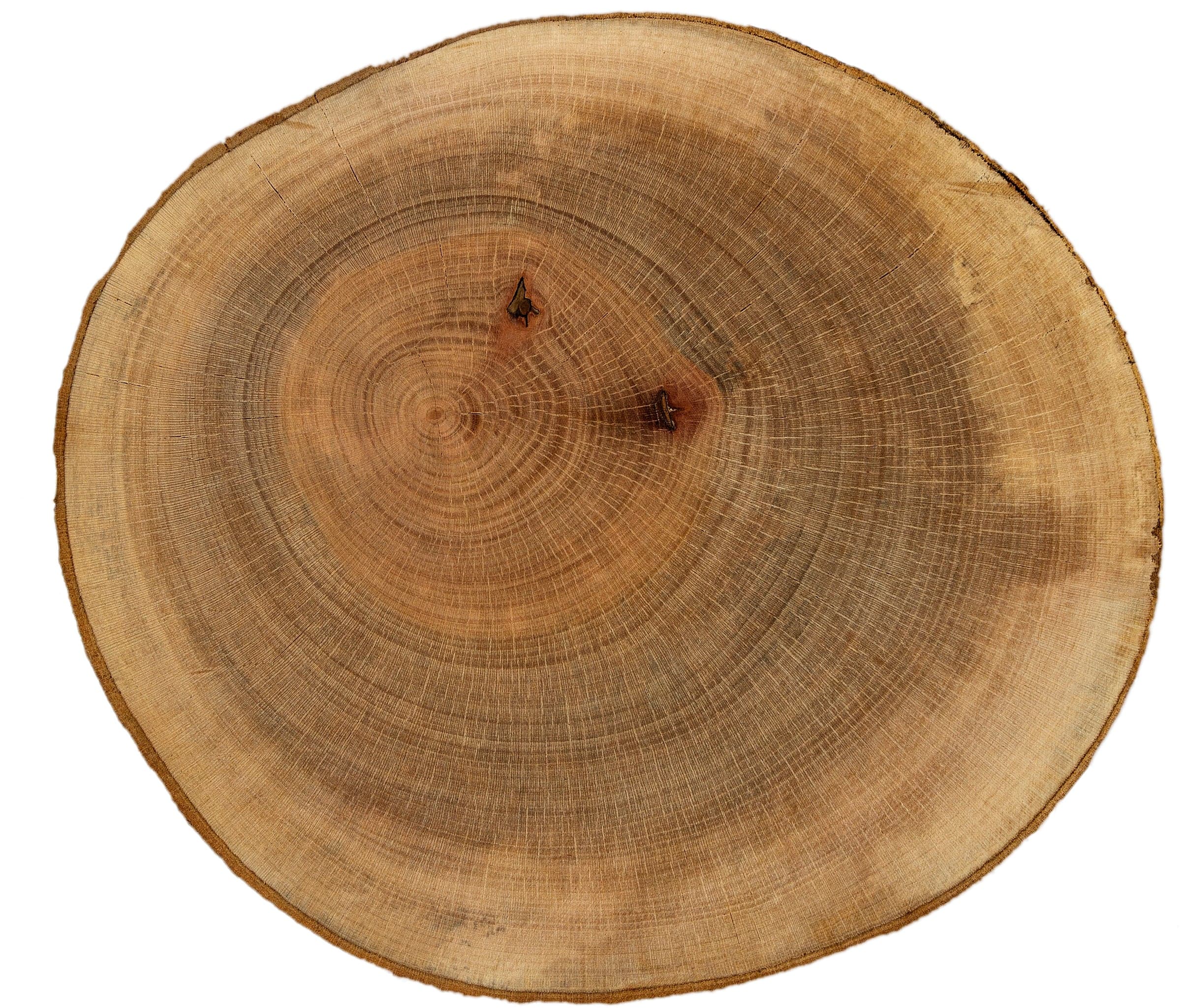 Νερά London Plane