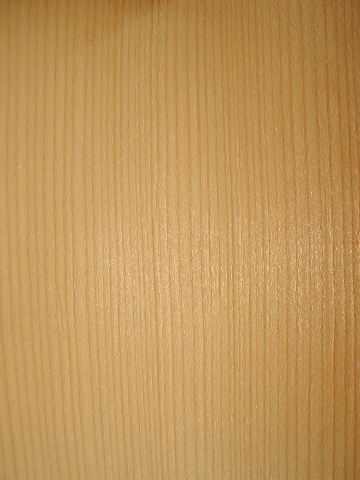 Νερά Norway Spruce