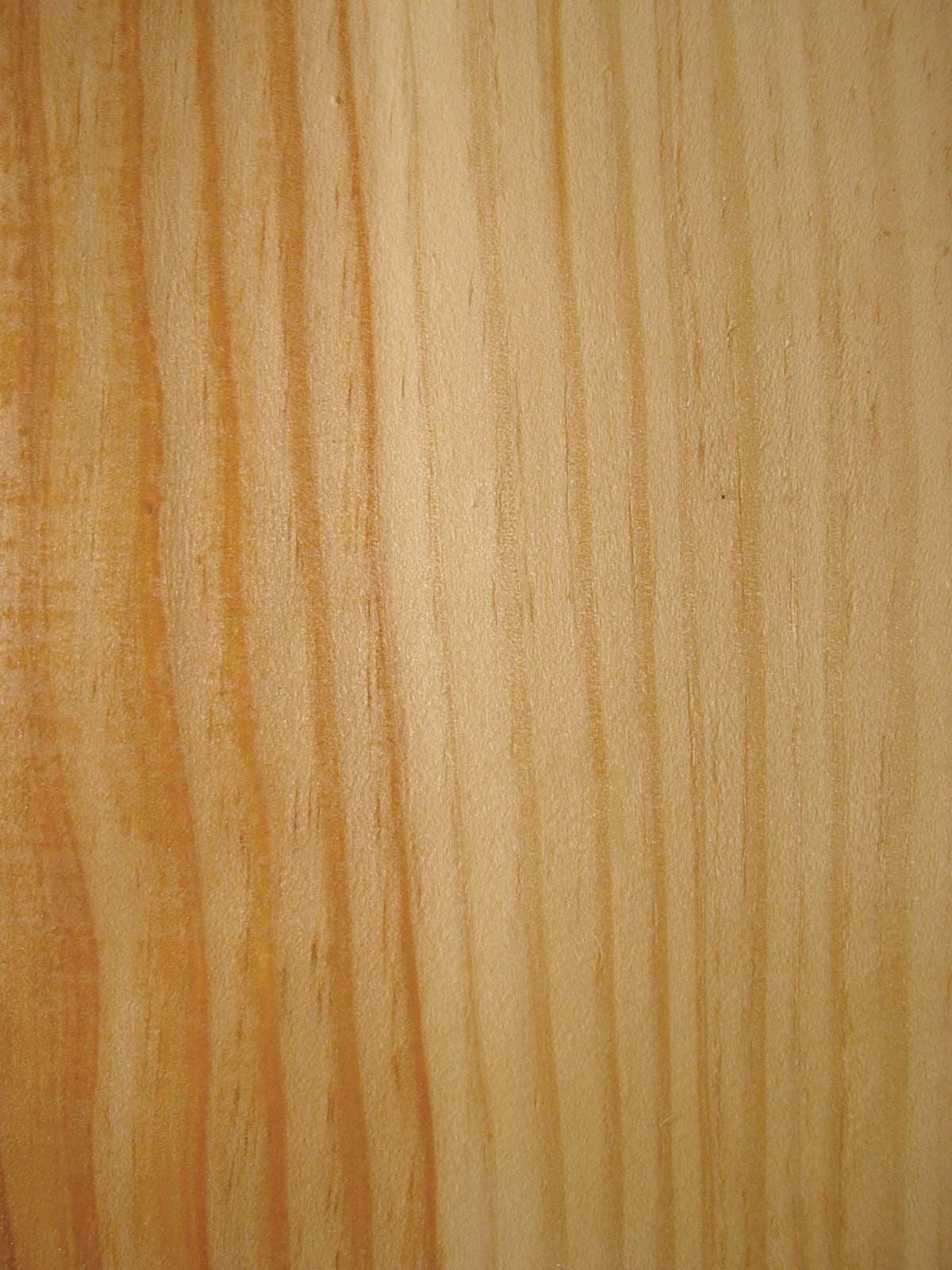 Νερά Scots Pine