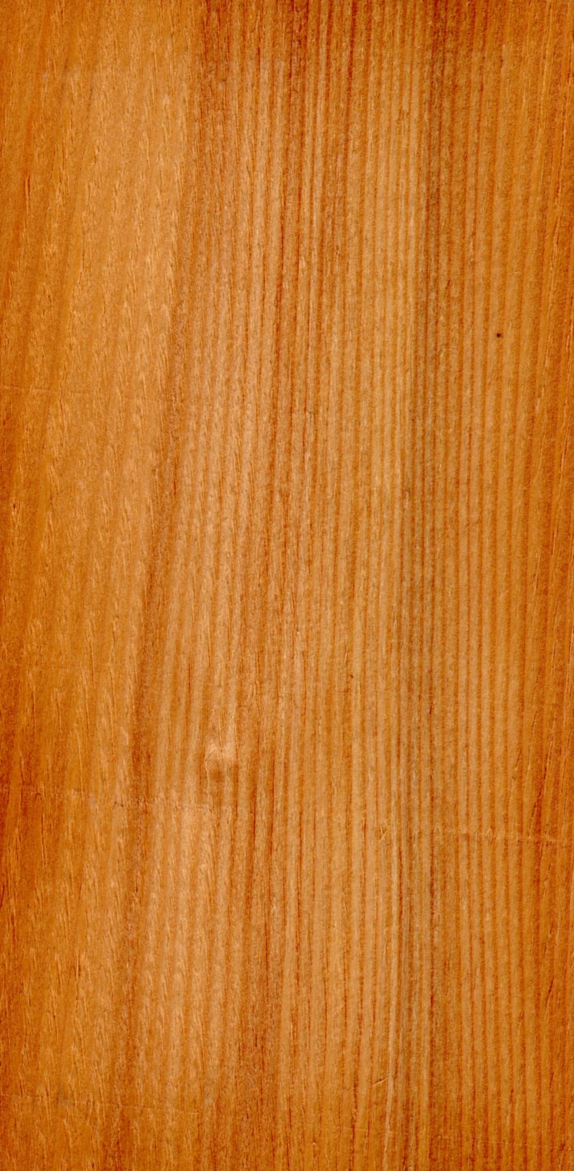 Νερά Silver Fir