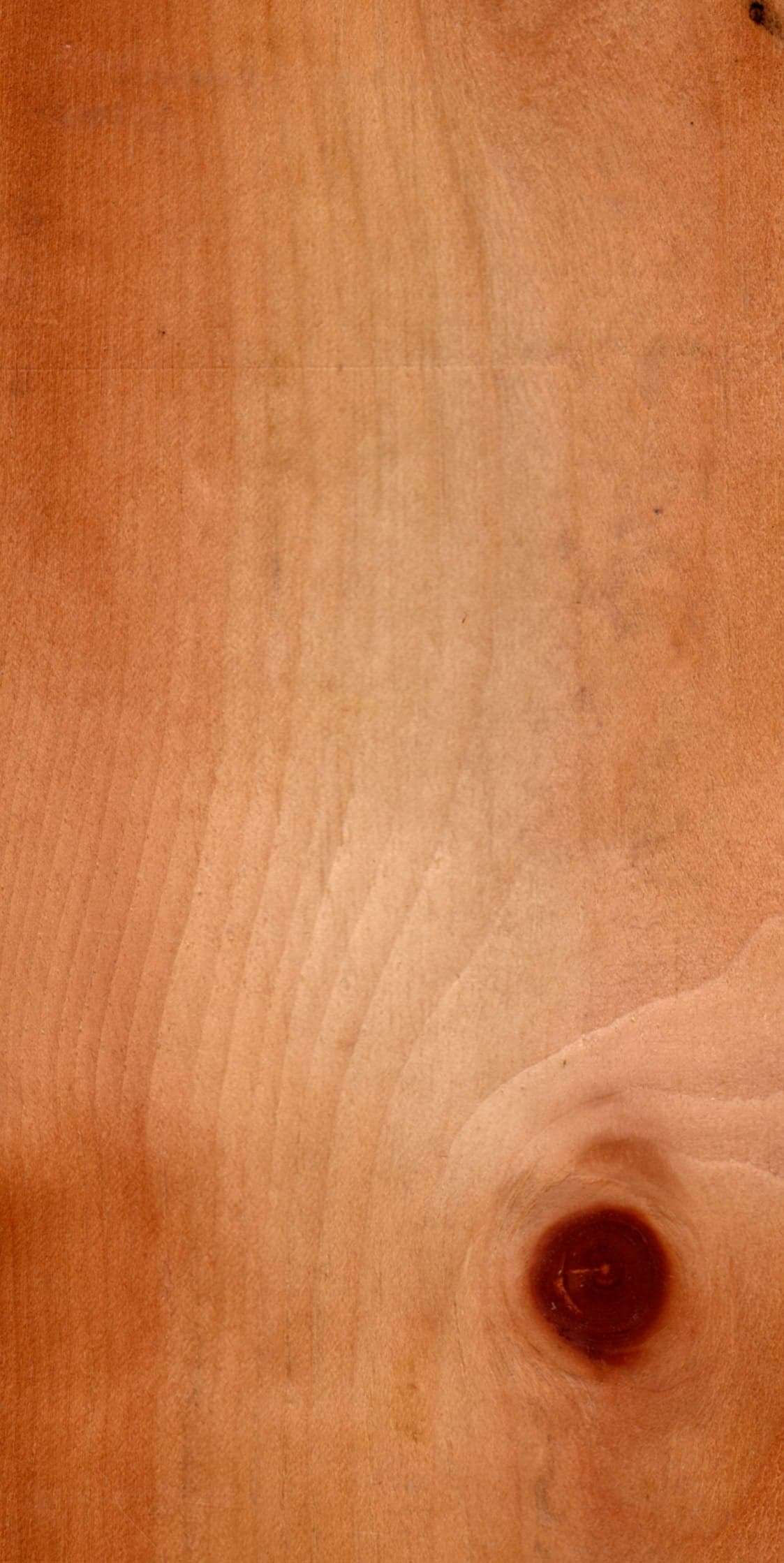Νερά Swiss Stone Pine